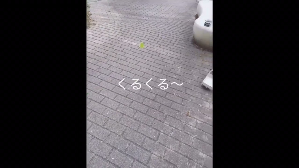 RAYWOOD_official Channel　軽トララジコンゆっるゆる練習