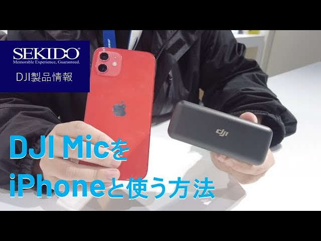 株式会社セキド公式チャンネル　DJI MicをiPhoneと一緒に使う方法【セキド公式】