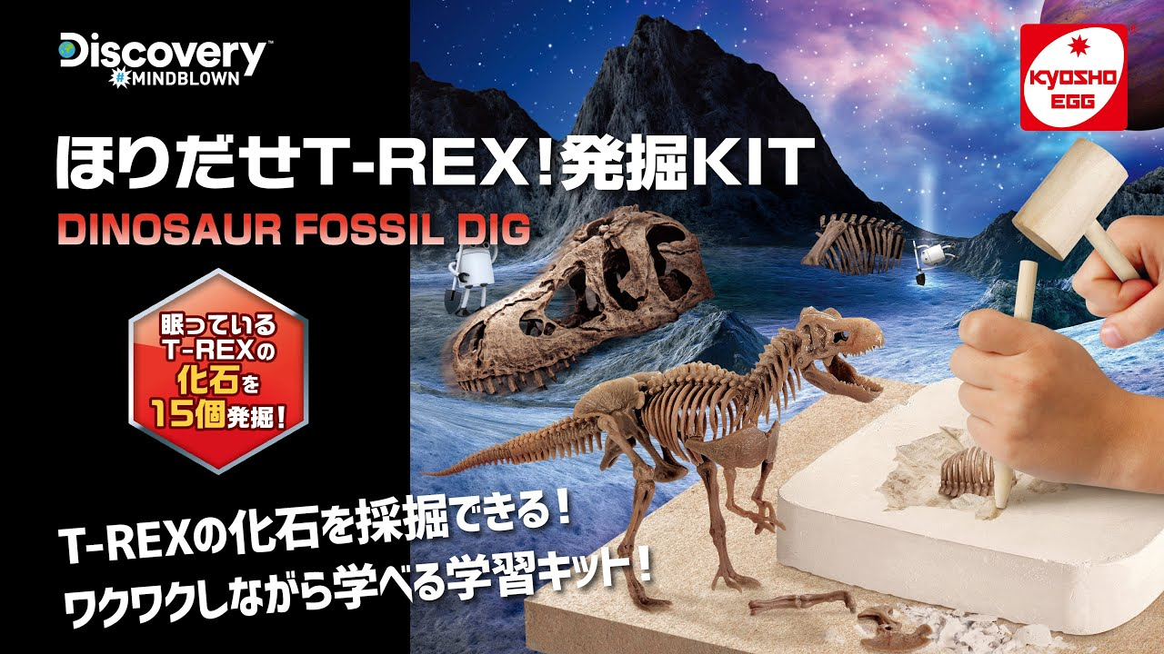 KYOSHO CORPORATION 　【京商エッグ】ほりだせT-REX！発掘KIT (Discovery)