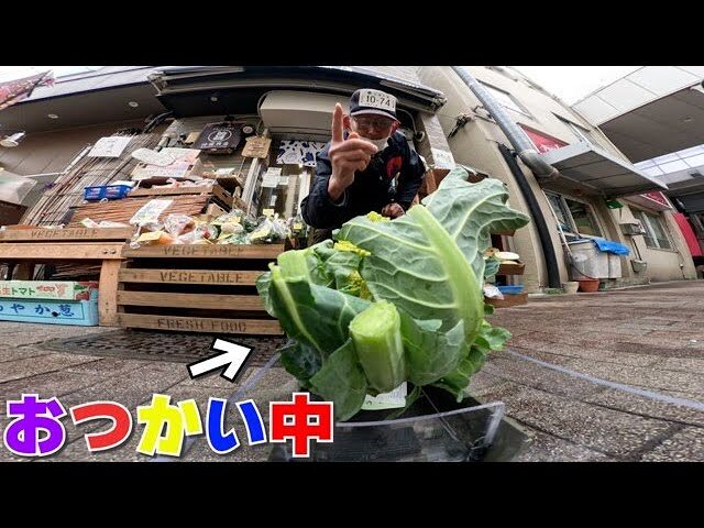 ラジコン料理☆らじくっく☆Radio Control Cooking Channel　■【おつかい】ラジコンに「ロマネスコ」買いに行かせた末路www